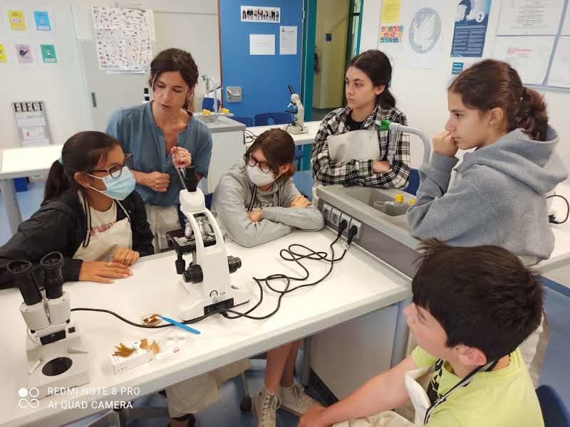 Workshop on Algae at the International School of Stuttgart