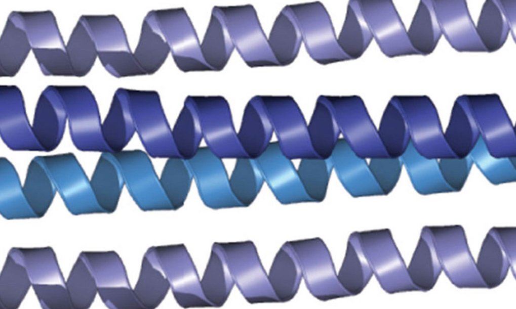 Transmembrane Signal Transduction