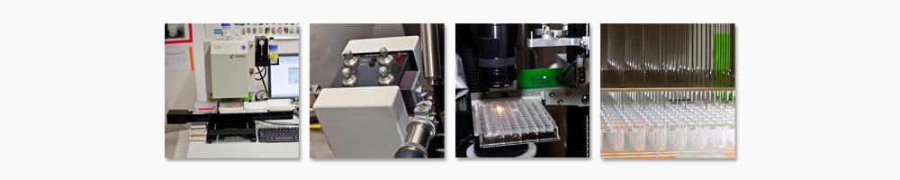 X-Ray Crystallography